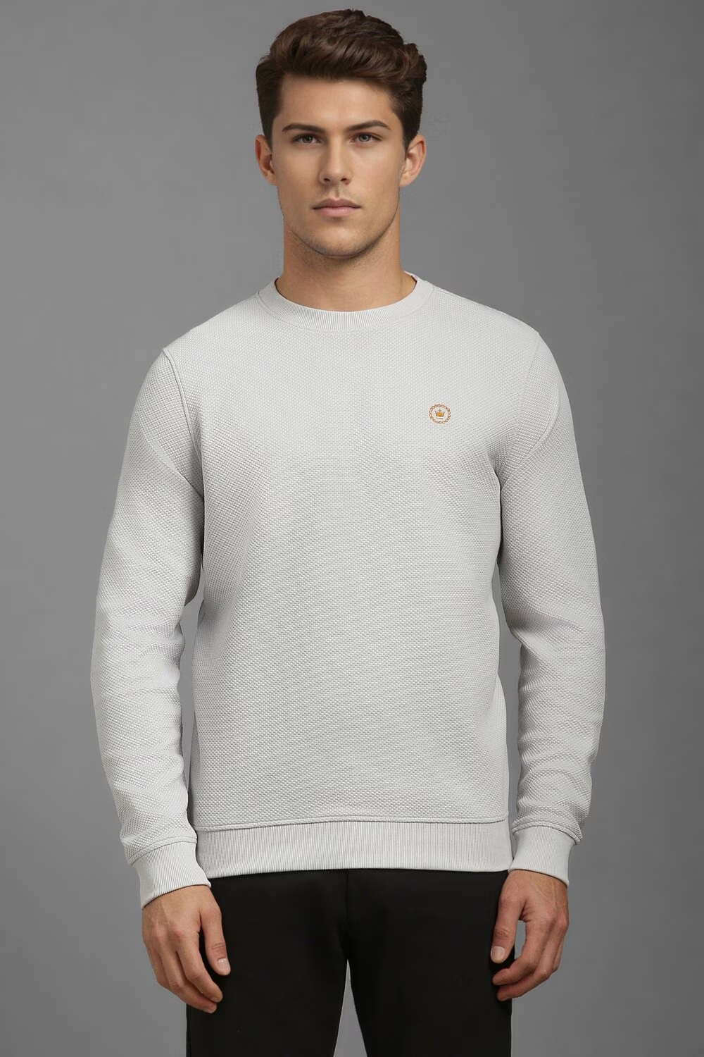 Men Casual Grey Textured Sweatshirt-Grey