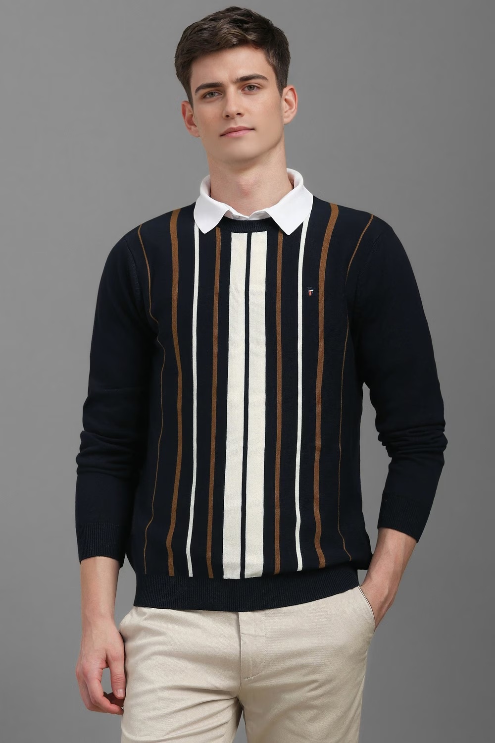 Men Black Stripe Crew Neck Full Sleeves Sweater-Black