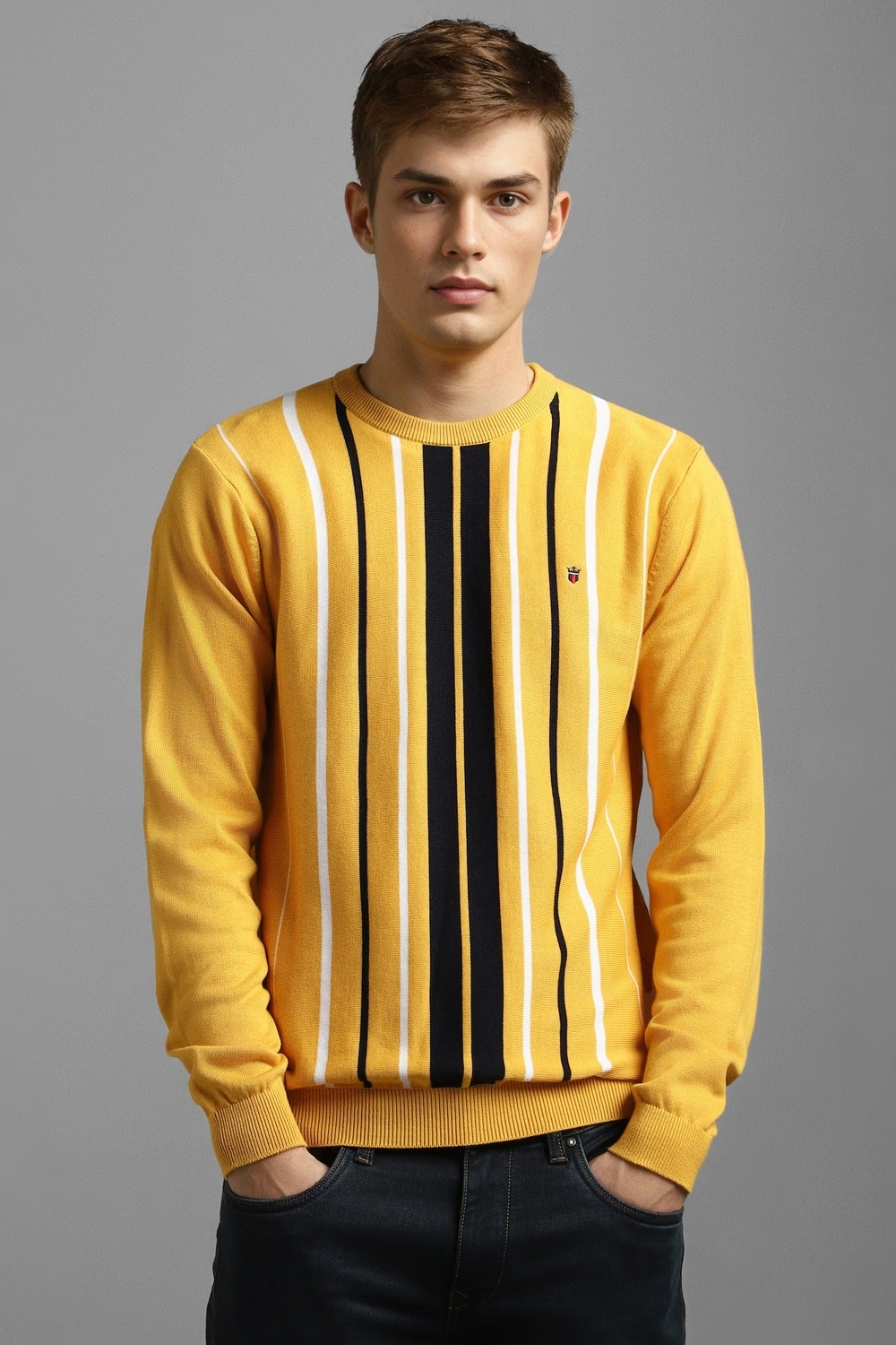Men Yellow Stripe Crew Neck Full Sleeves Sweater-Yellow