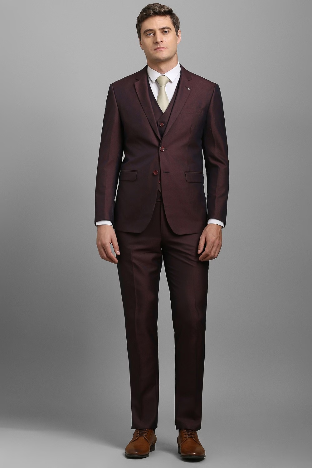 Men Maroon Textured Formal Three Piece Suit-Maroon