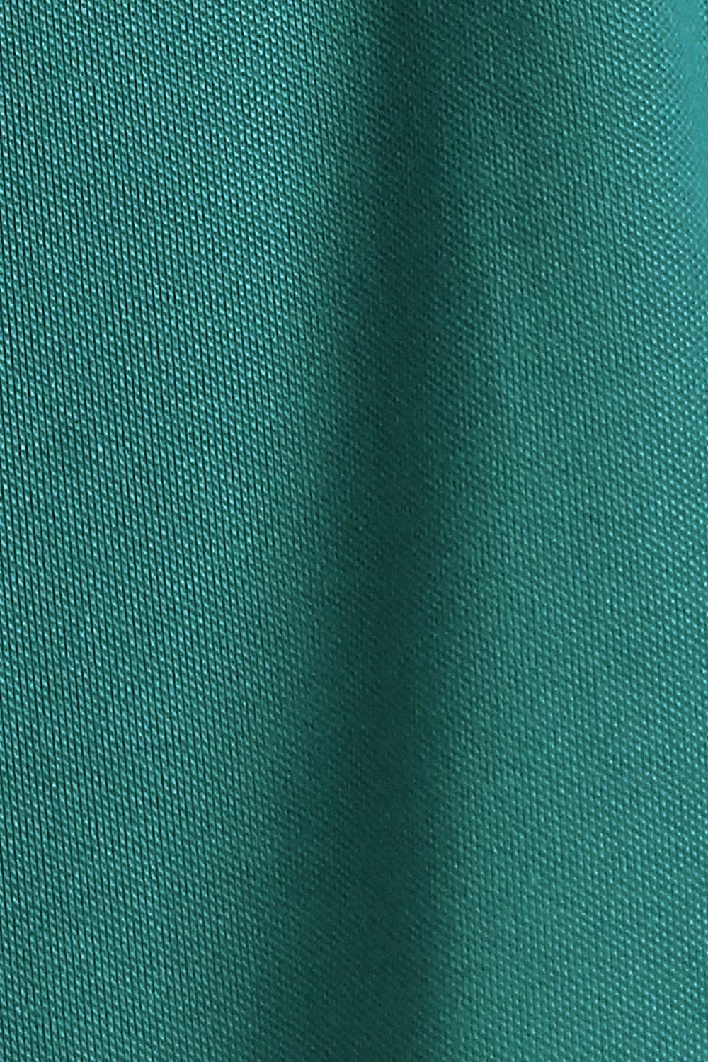 52787-men-green-solid-polo-neck-t-shirt-green-1.jpg