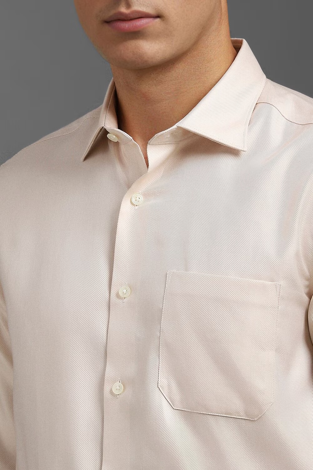 5441-men-beige-classic-fit-textured-full-sleeves-formal-shirt-beige-1.jpg