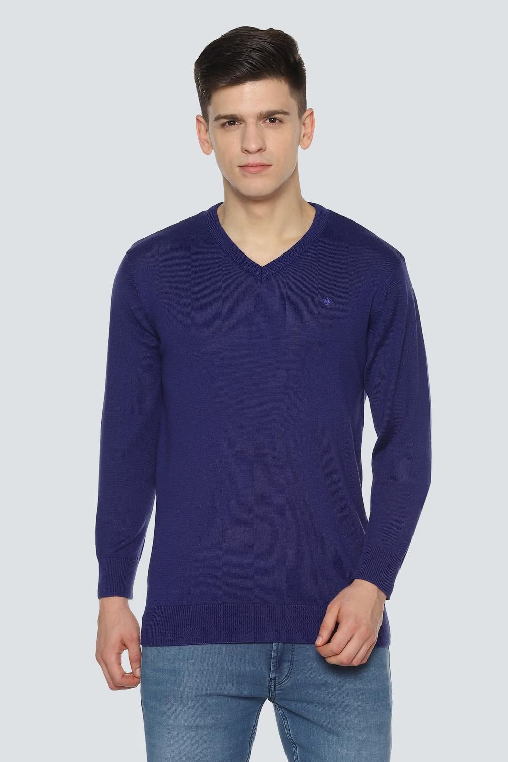 54586-men-blue-textured-v-neck-full-sleeves-sweater-blue-1.jpg