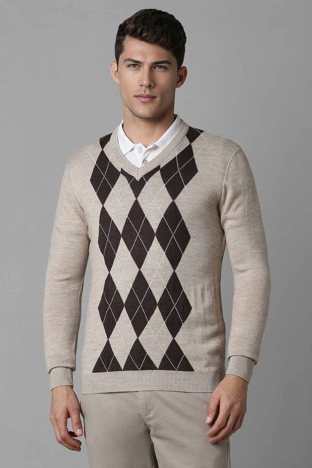 Men Beige Argyle V Neck Full Sleeves Sweater-Beige