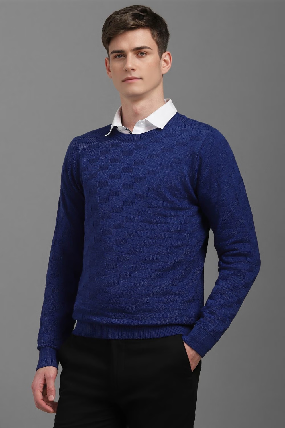 56168-men-blue-textured-crew-neck-full-sleeves-sweater-blue-1.jpg