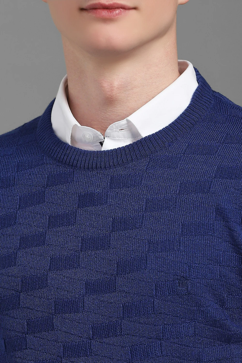56168-men-blue-textured-crew-neck-full-sleeves-sweater-blue-1.jpg