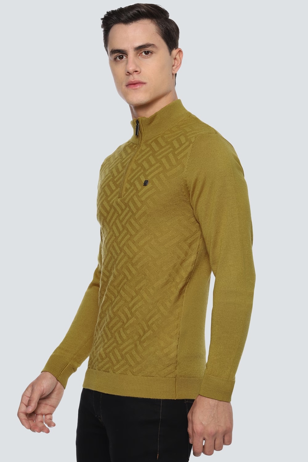 56442-men-khaki-patterned-turtle-neck-full-sleeves-sweater-khaki-1.jpg
