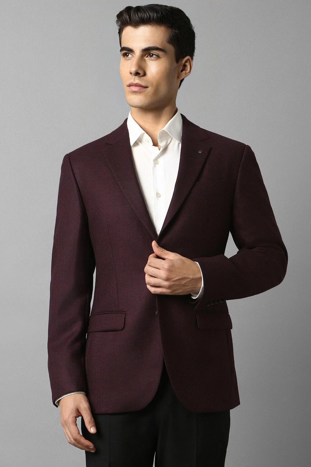 Men Purple Regular Fit Textured Formal Blazer-Purple