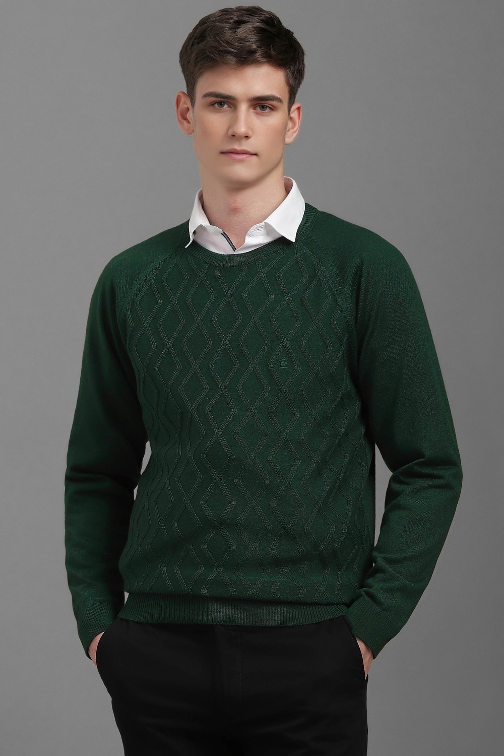 Men Green Textured Crew Neck Full Sleeves Sweater-Green 1 62546-men-green-textured-crew-neck-full-sleeves-sweater-green-1.jpg