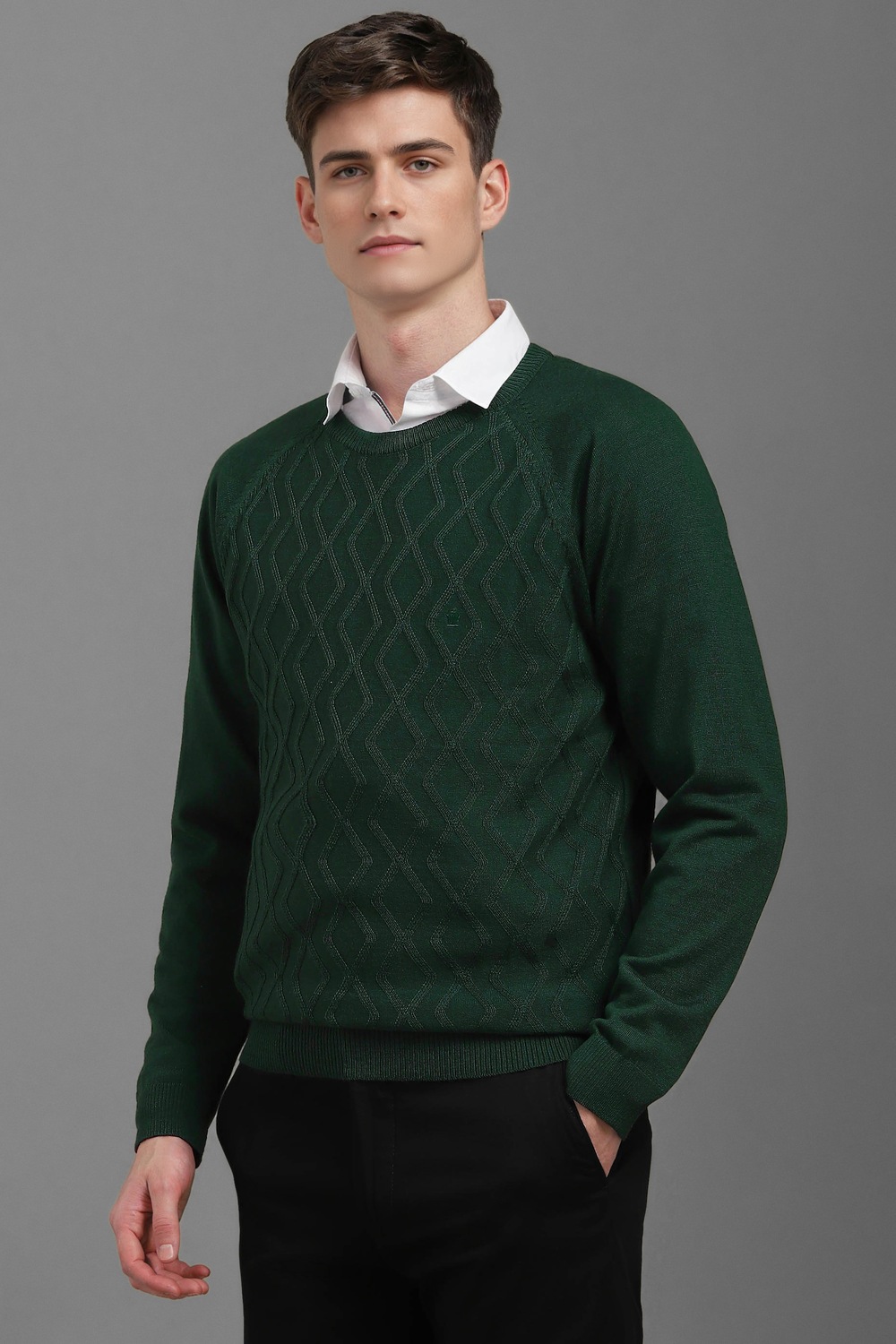 62546-men-green-textured-crew-neck-full-sleeves-sweater-green-1.jpg