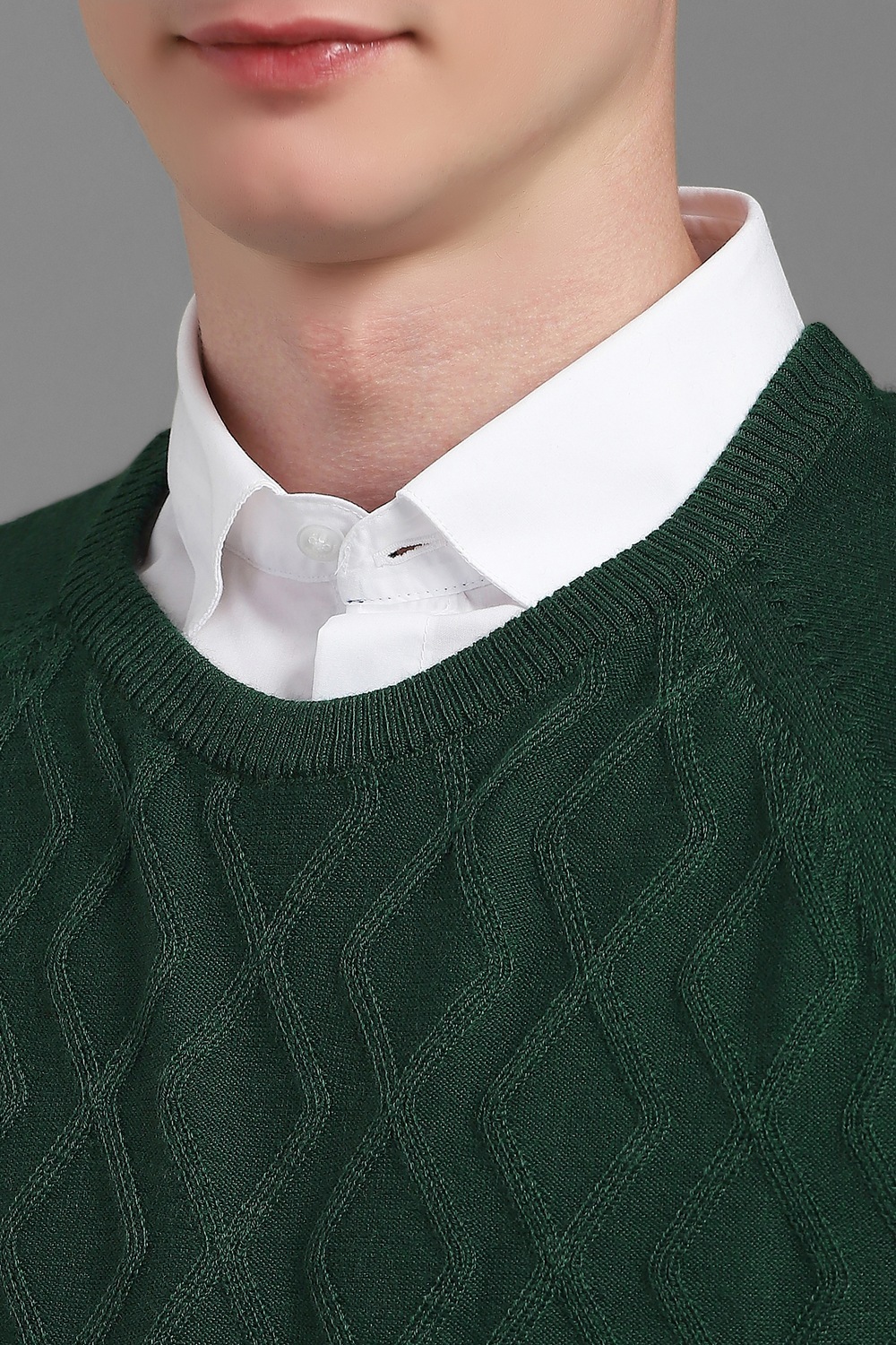 62546-men-green-textured-crew-neck-full-sleeves-sweater-green-1.jpg