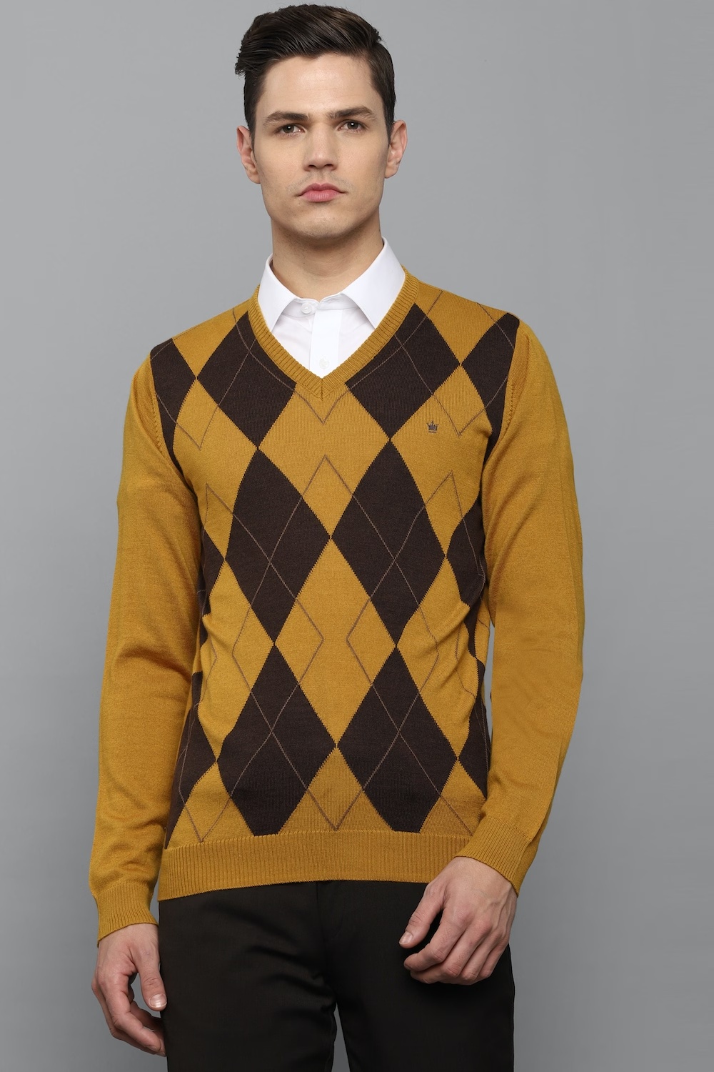 Men Yellow Print V Neck Full Sleeves Sweater-Yellow