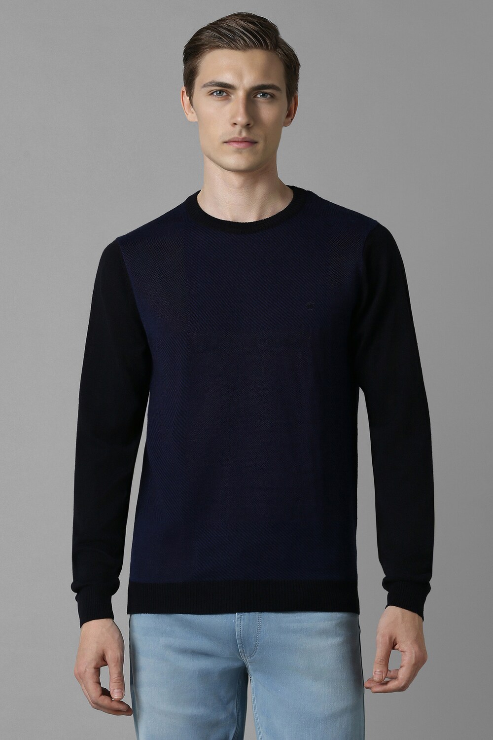 Men Navy Patterned Crew Neck Full Sleeves Sweater-Navy