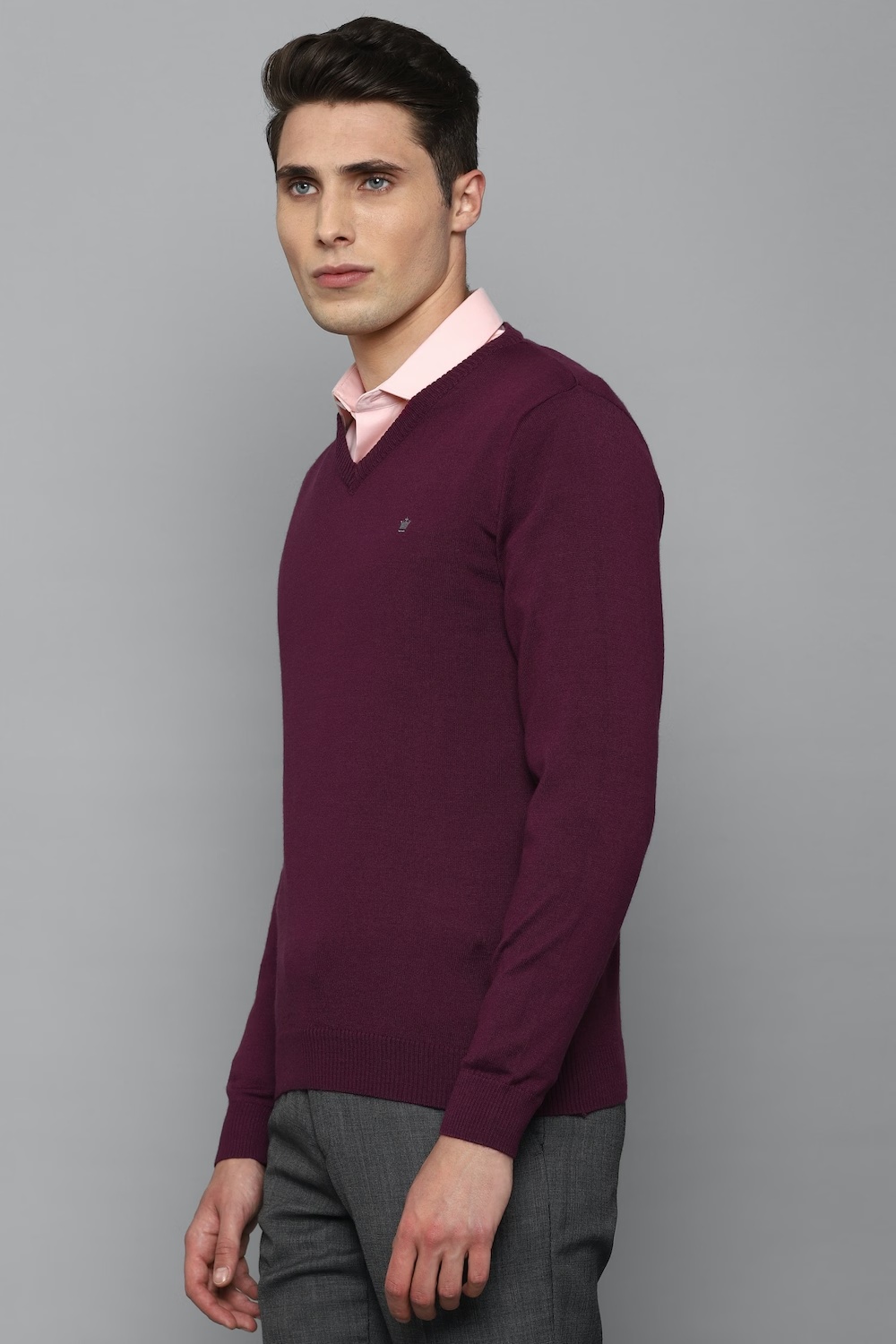 67307-men-purple-solid-v-neck-full-sleeves-sweater-purple-1.jpg