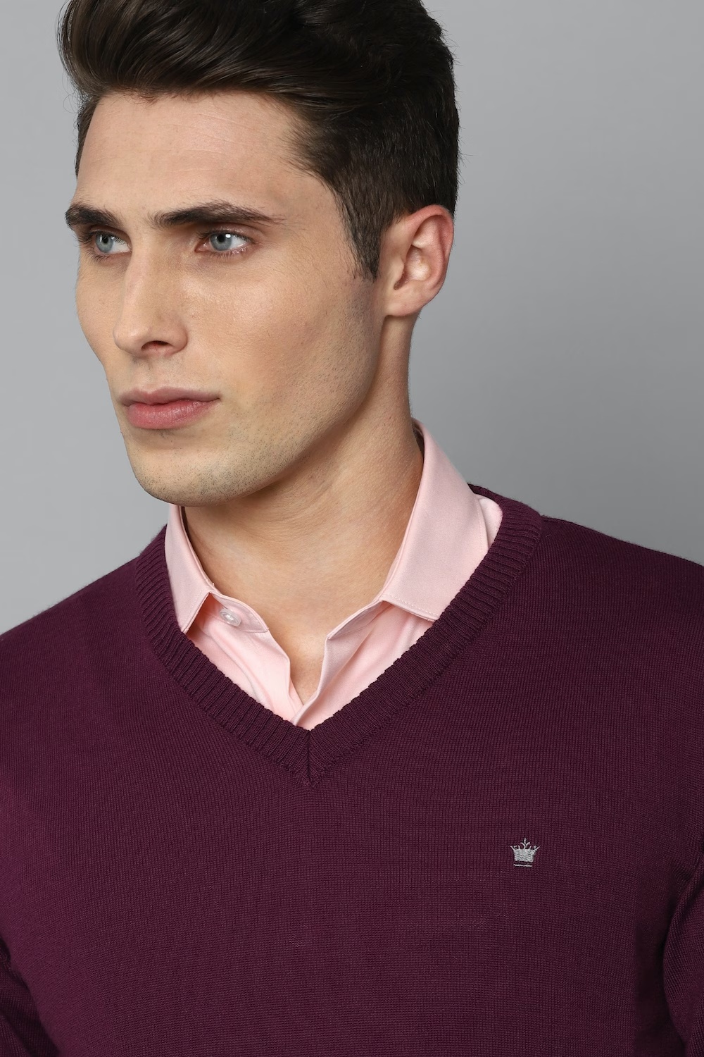 67307-men-purple-solid-v-neck-full-sleeves-sweater-purple-1.jpg