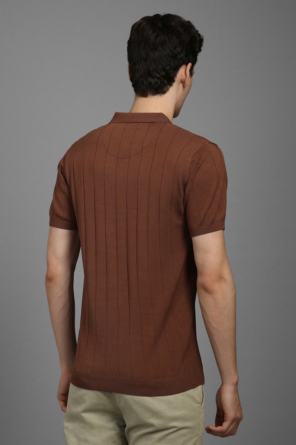67530-men-brown-textured-polo-neck-t-shirt-brown-1.jpg