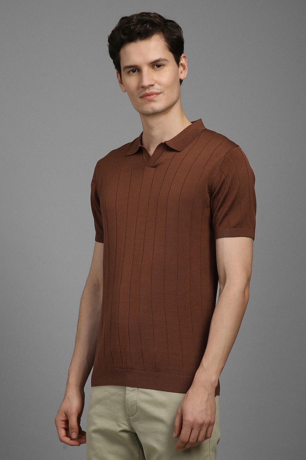67530-men-brown-textured-polo-neck-t-shirt-brown-1.jpg