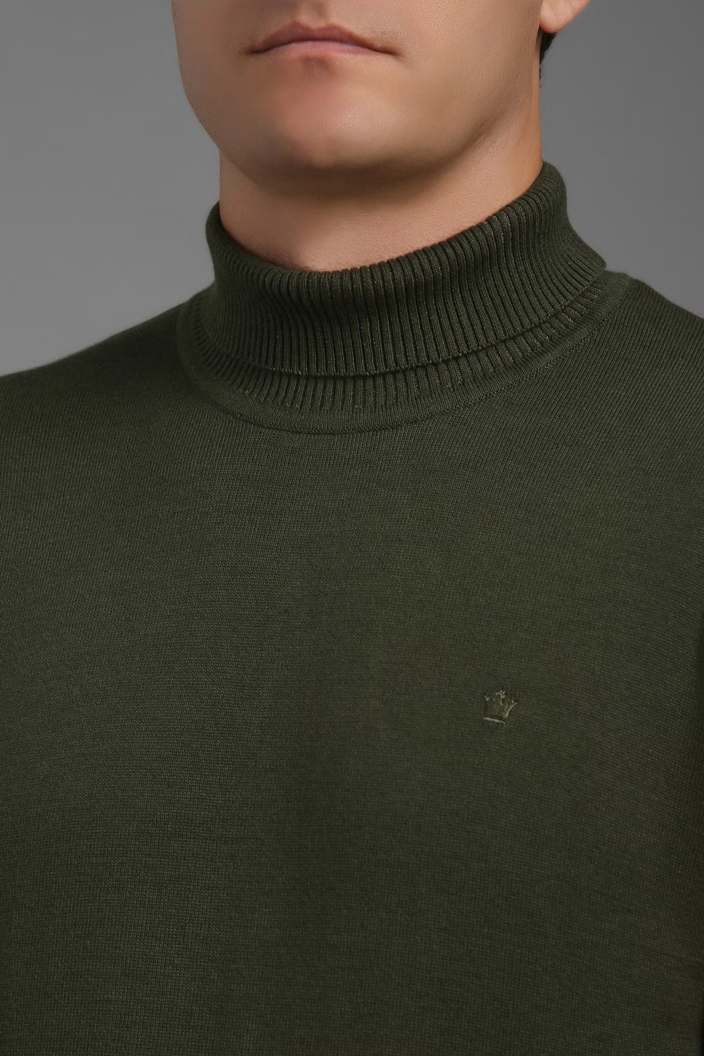 73004-men-olive-solid-turtle-neck-full-sleeves-sweater-olive-1.jpg