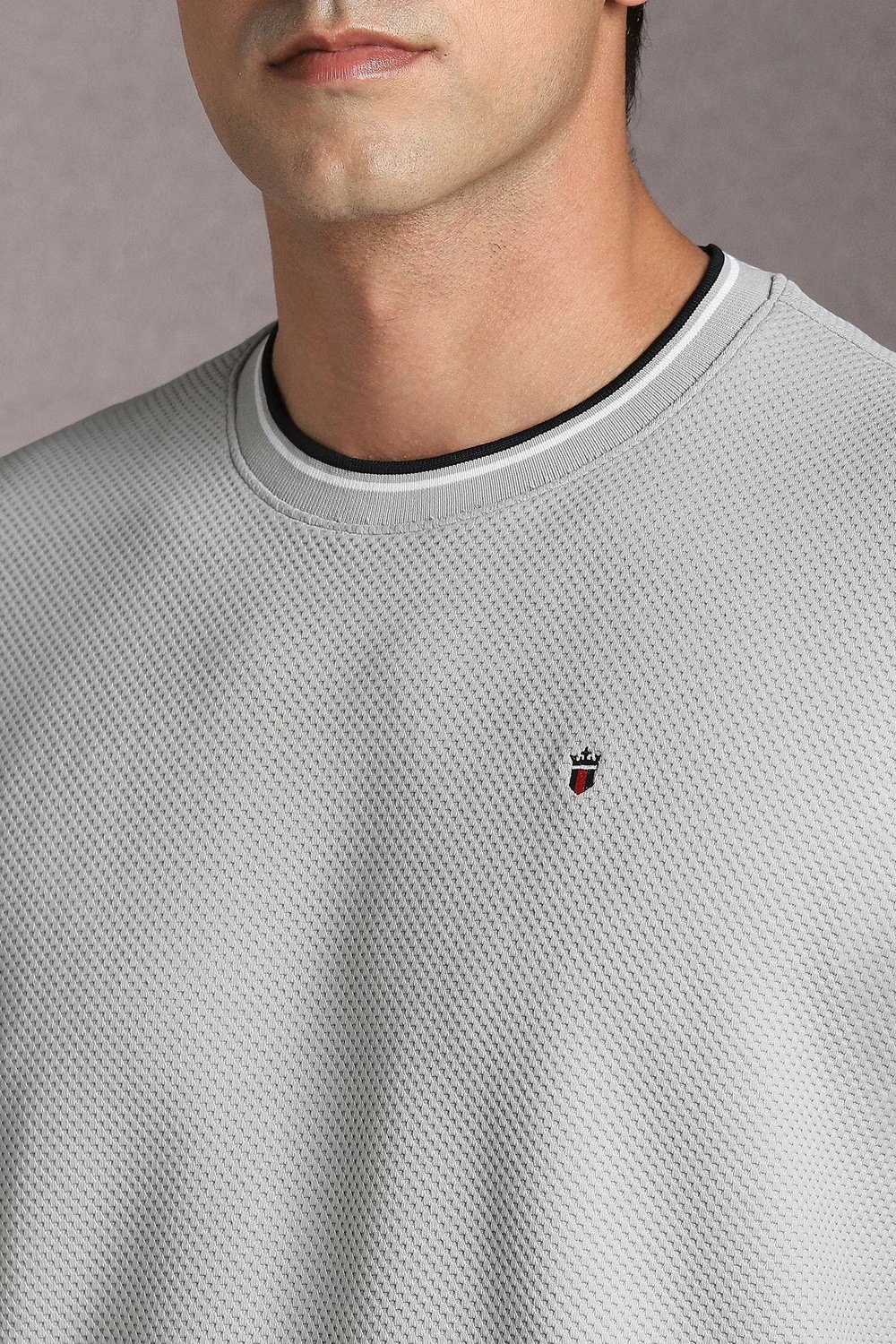 75665-men-grey-textured-crew-neck-t-shirt-grey-1.jpg