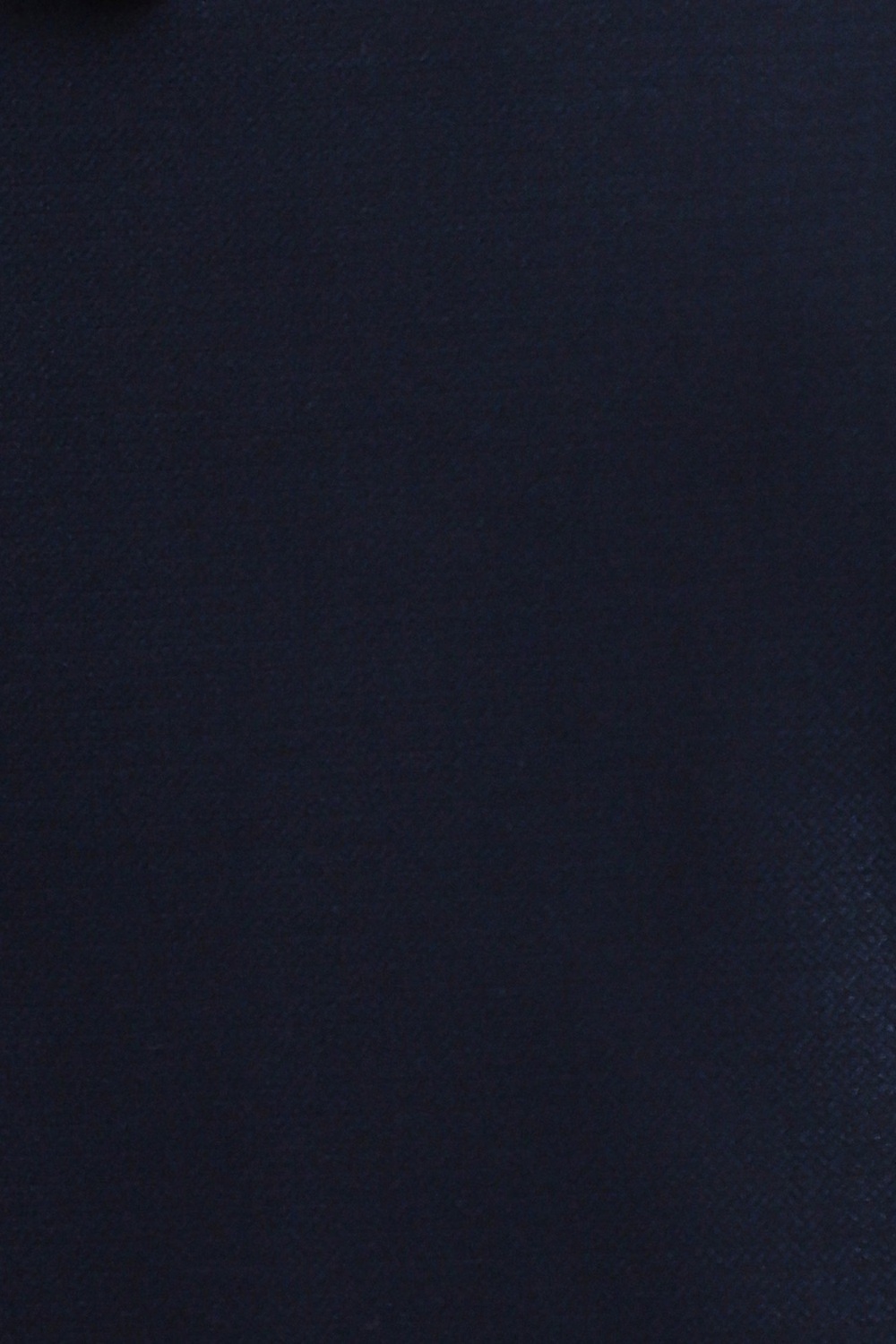 79146-men-navy-slim-fit-solid-flat-front-formal-trousers-navy-1.jpg