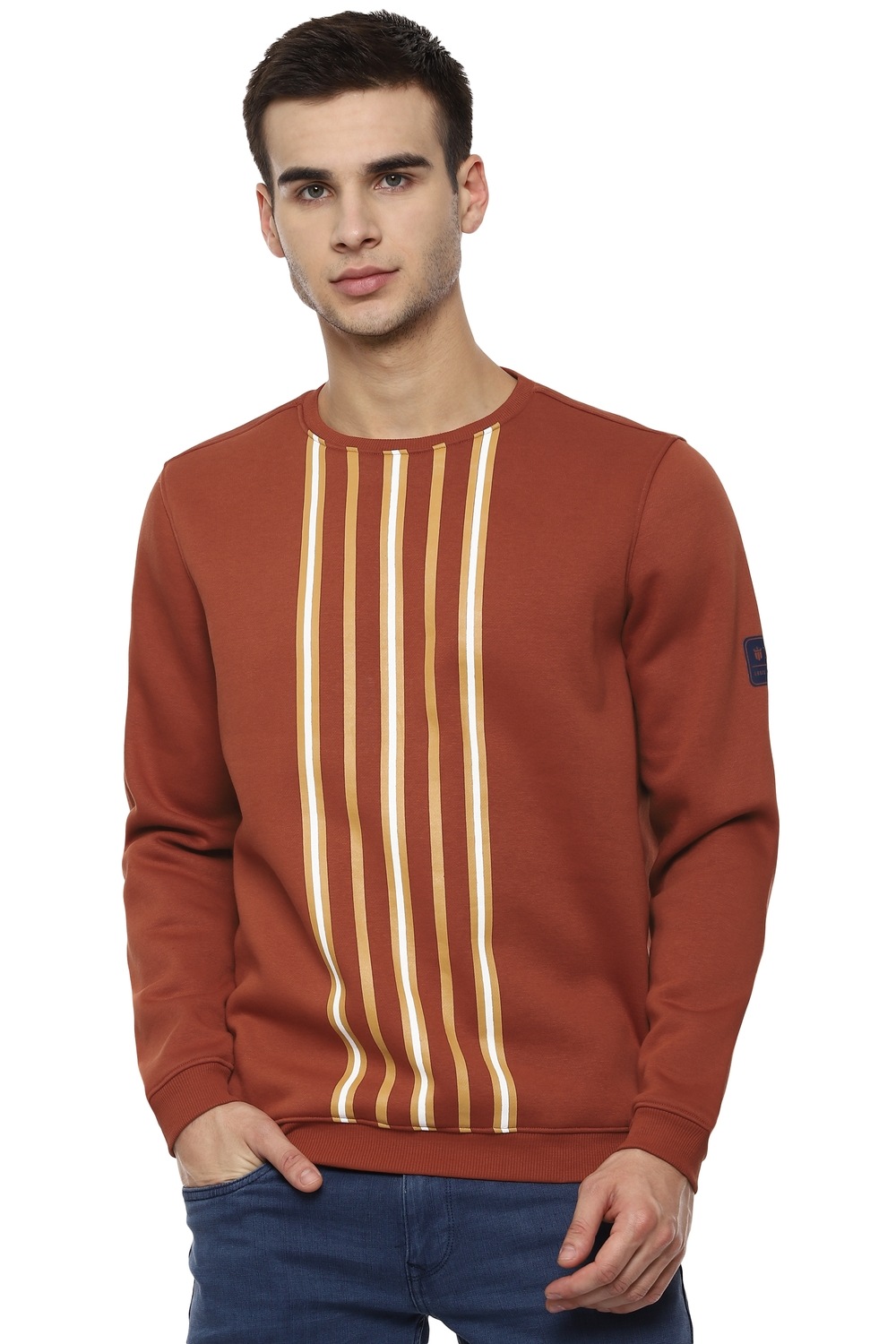 Men Casual Brown Stripe Sweatshirt-Brown