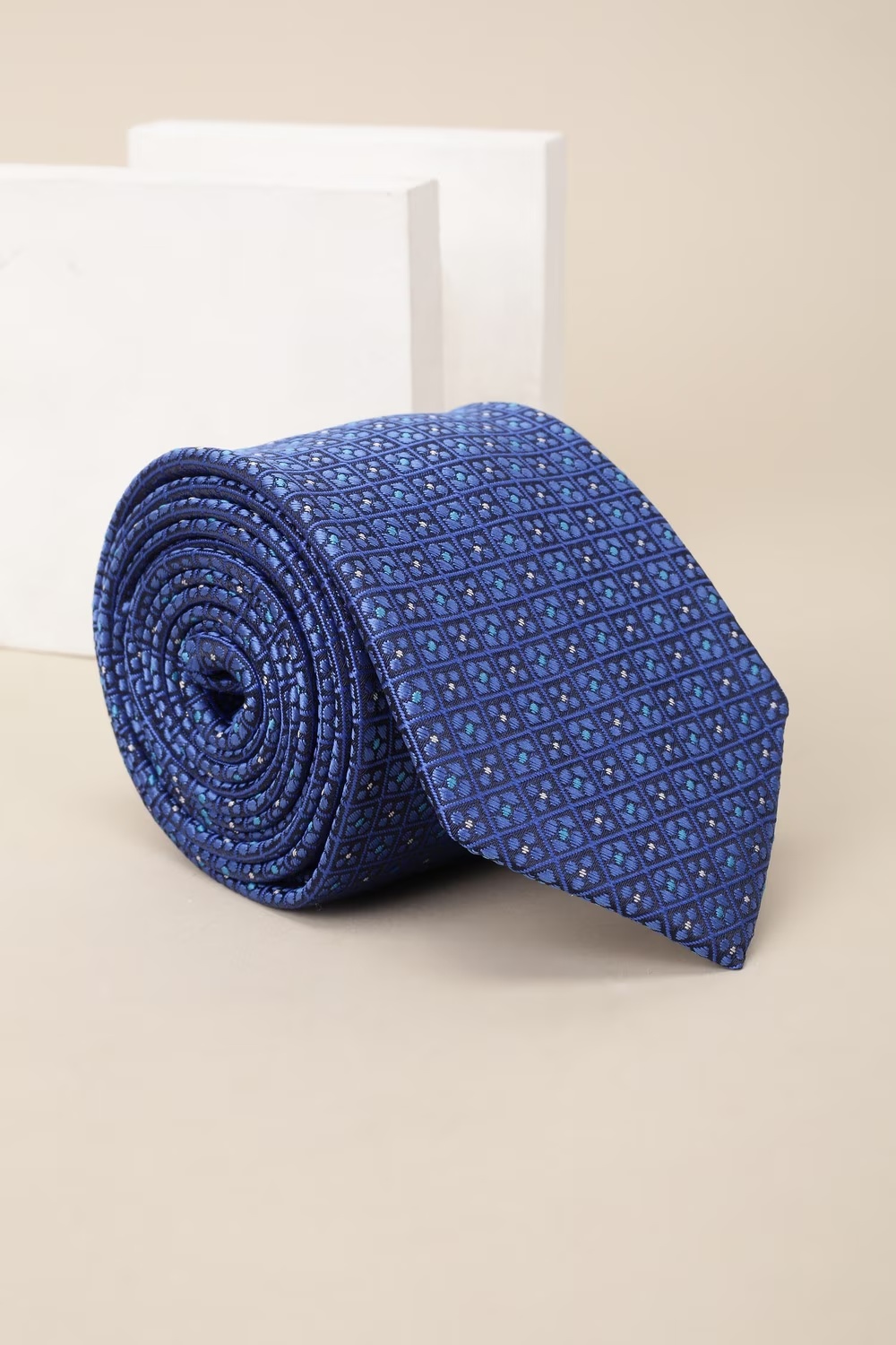Men Blue Embroidered Tie-Blue